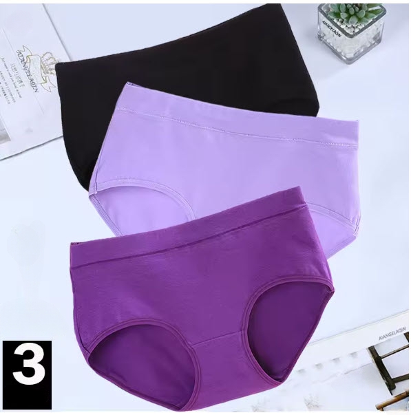 מארז 3 תחתוני כותנה במידות גדולות